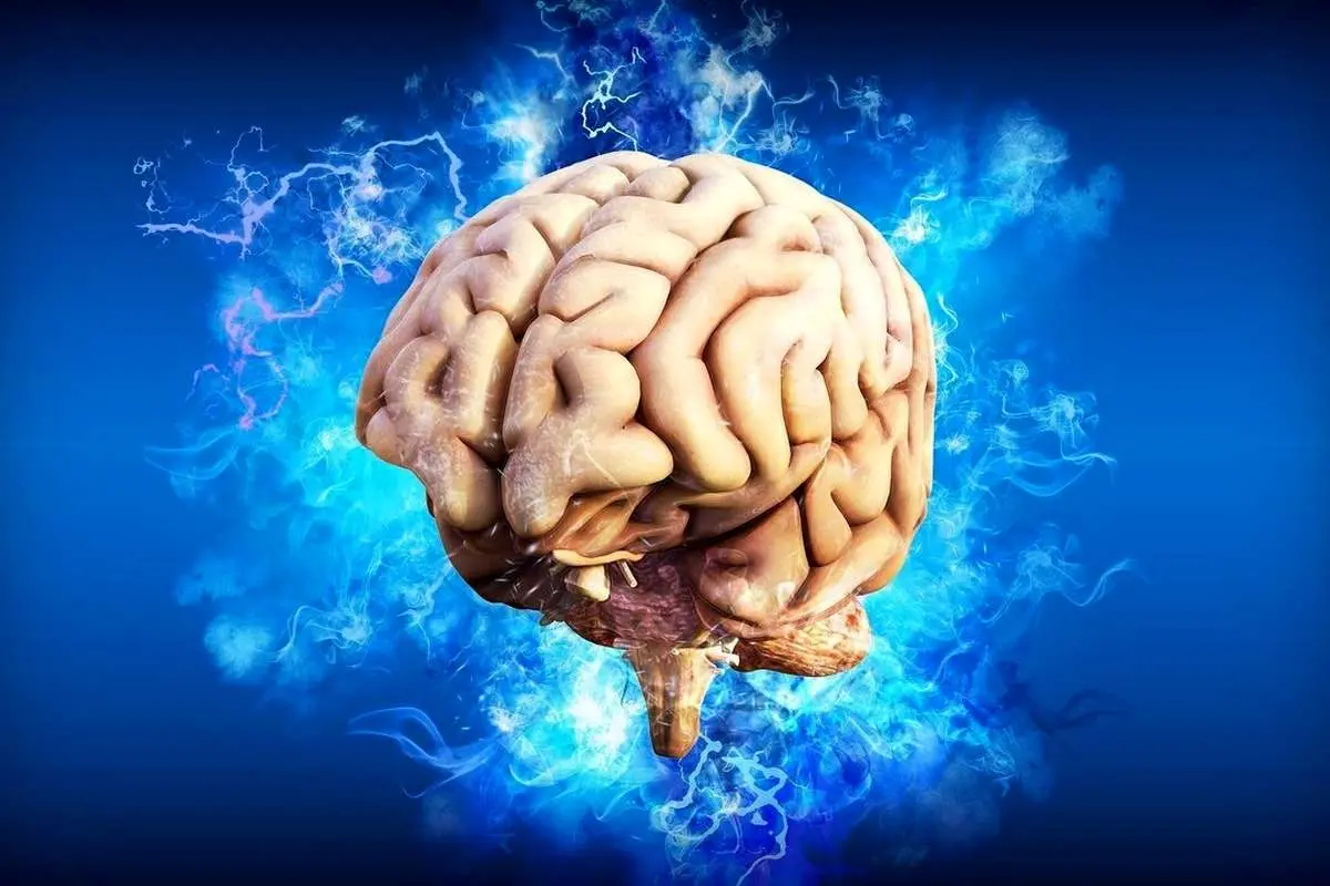 ۳ چالش مهم در عمل پیوند مغز!