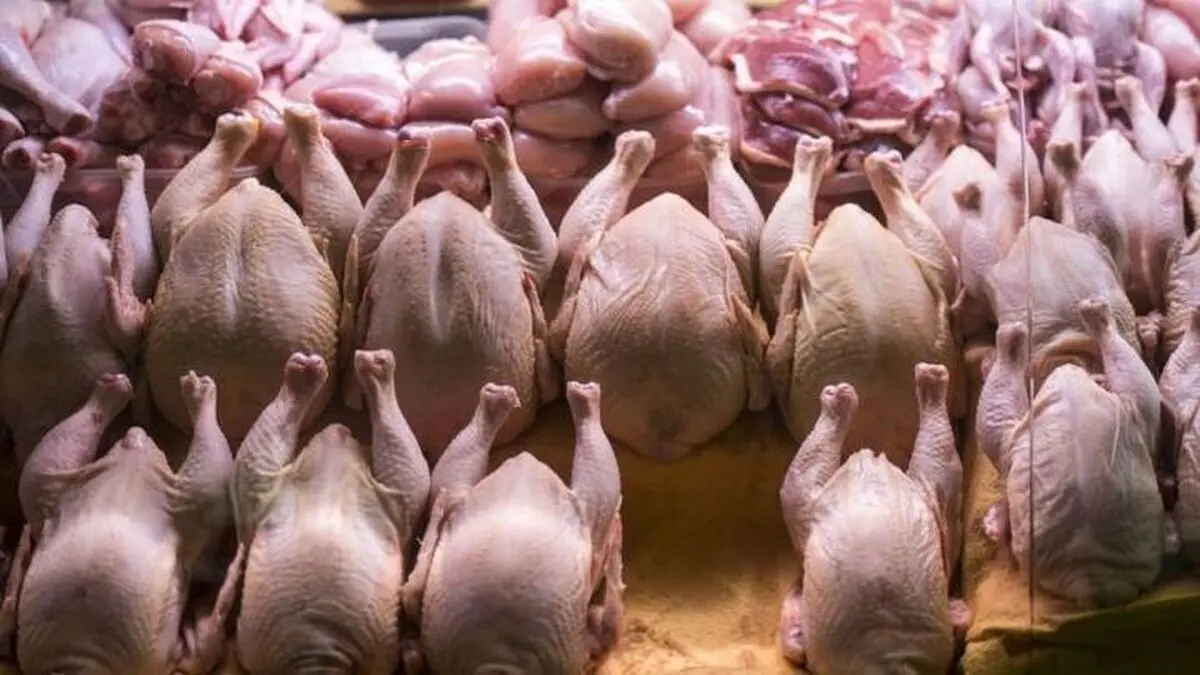 قیمت گوشت مرغ در بازار امروز ۱۷ فروردین ۱۴۰۳