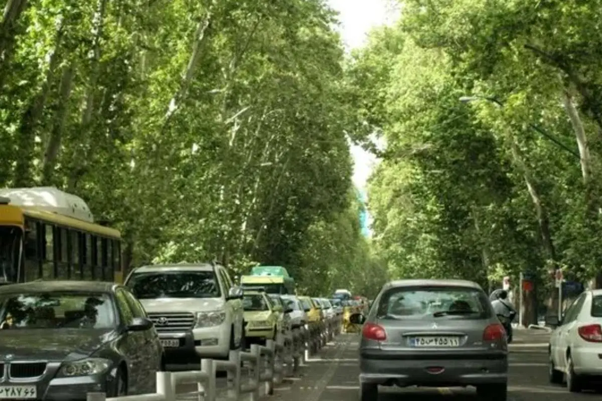 (عکس) ابتکار جالب برای حفظ یک درخت در ایستگاه مترو تهران