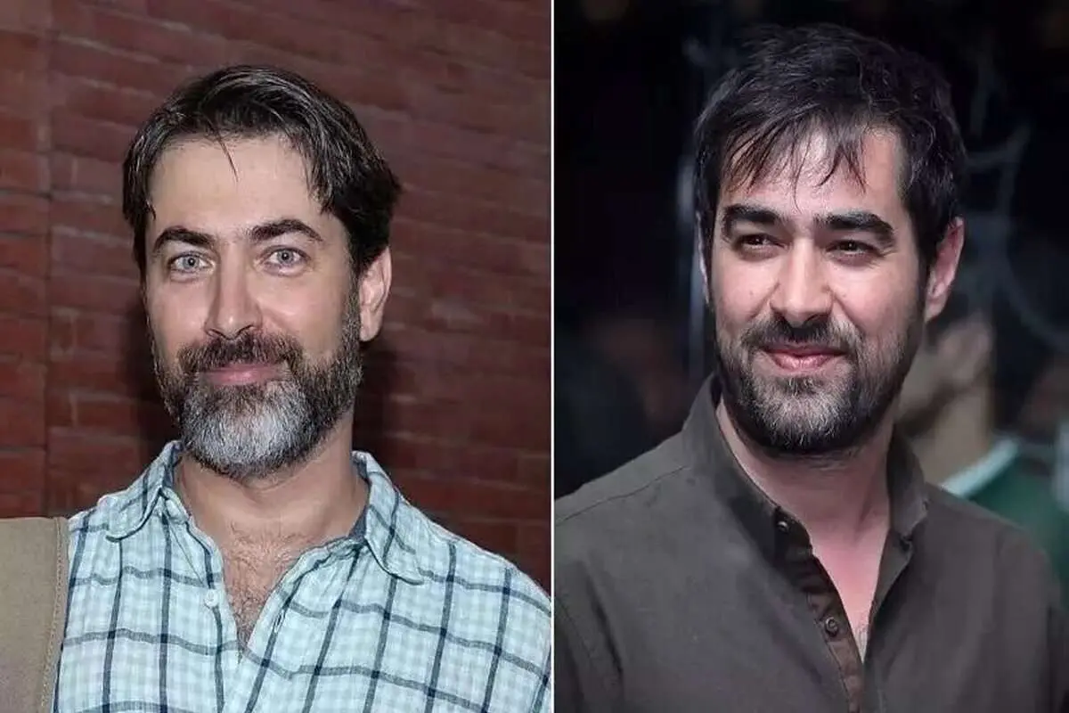 دو فیلم جدید در راه اکران؛ پارسا پیروزفر و شهاب حسینی در «سال گربه»