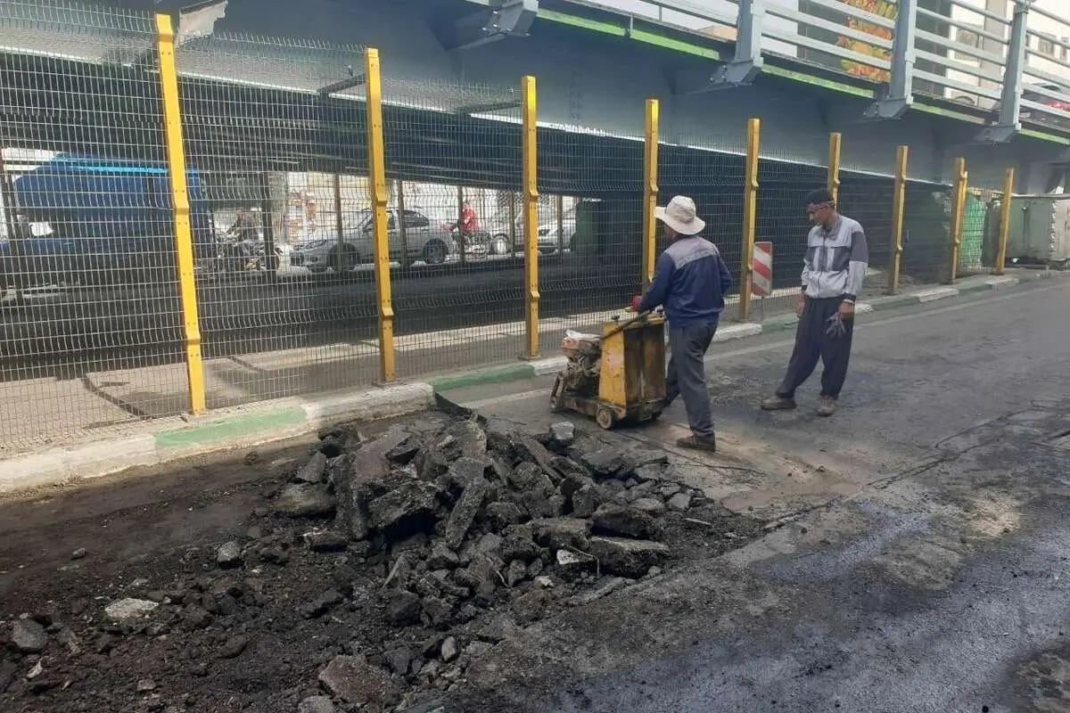 جزئیات قطع درختان در اجرای پروژه زیرگذر میدان سپاه