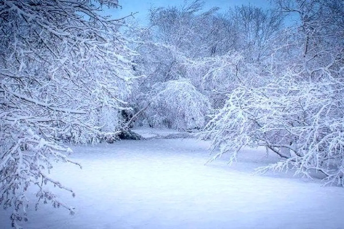 (ویدئو) بارش زیبای برف بهاری در ملایر