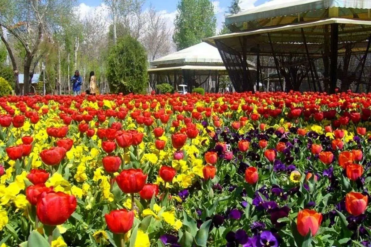 جزییات تعطیلی باغ گل‌های کرج