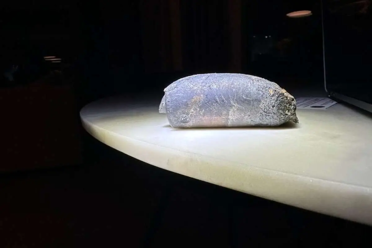 زباله فضایی سقف خانه‌ای در ایالات‌متحده را سوراخ کرد