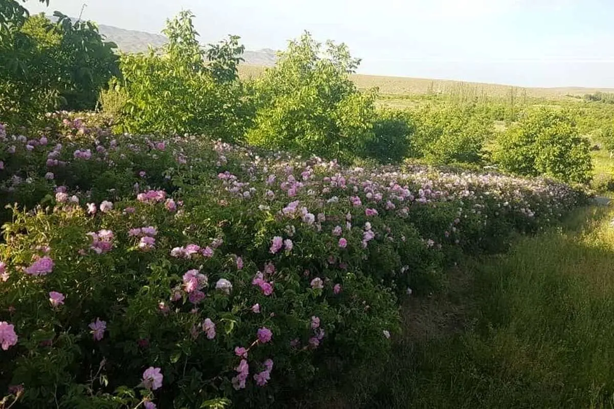 این استان دیروز گرم‌ترین و سردترین نقطۀ کشور بود!