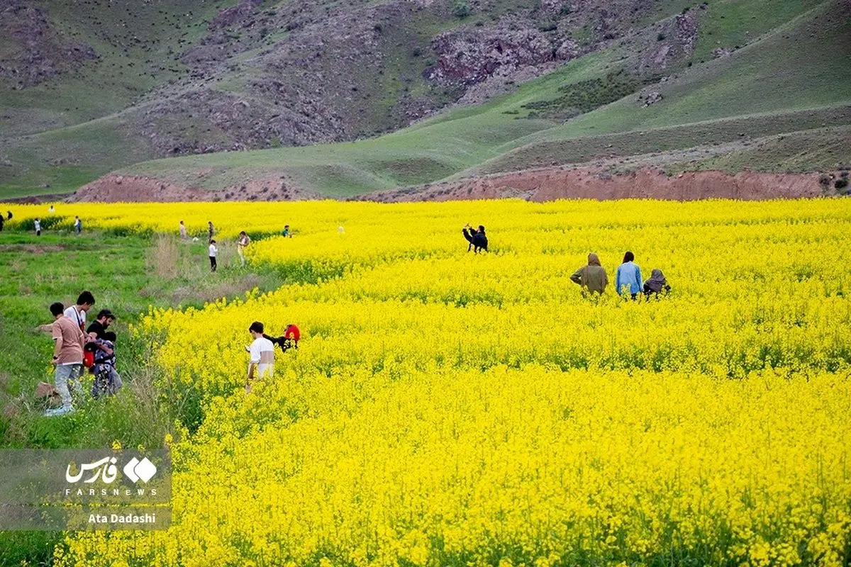 (تصاویر) گردشگران در  اَرَس