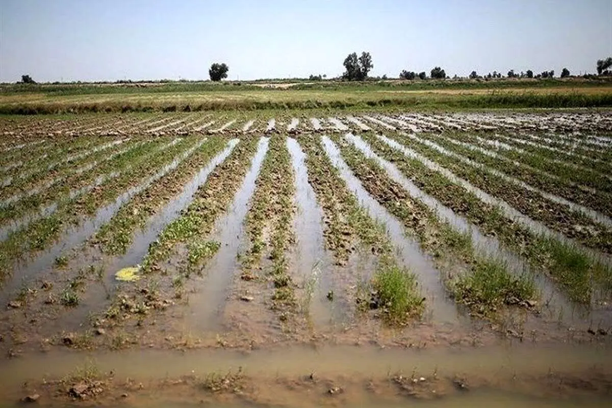 هشدار هواشناسی به کشاورزان