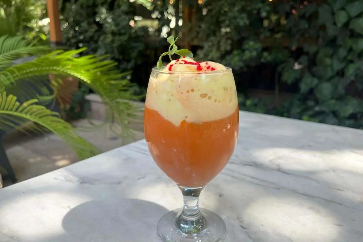 خواص آب هویج بستنی