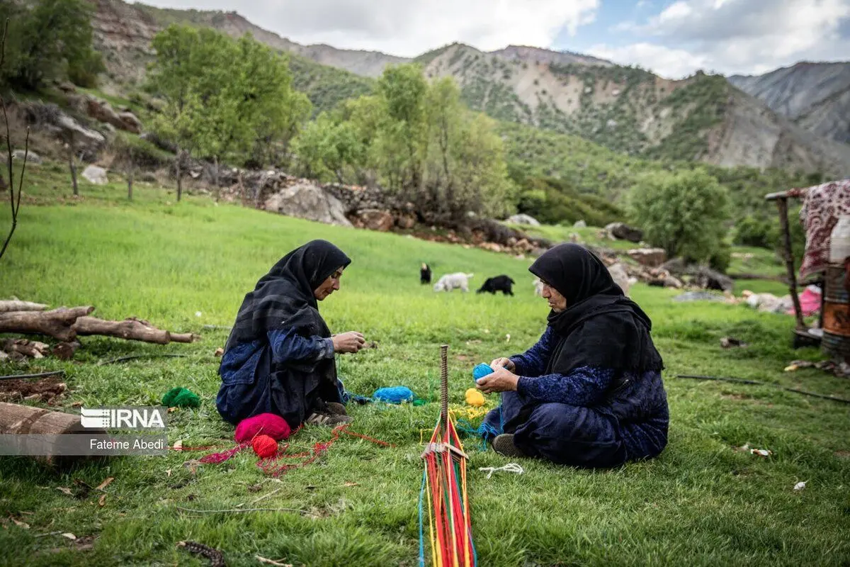 (تصاویر) شیردنگ بافی