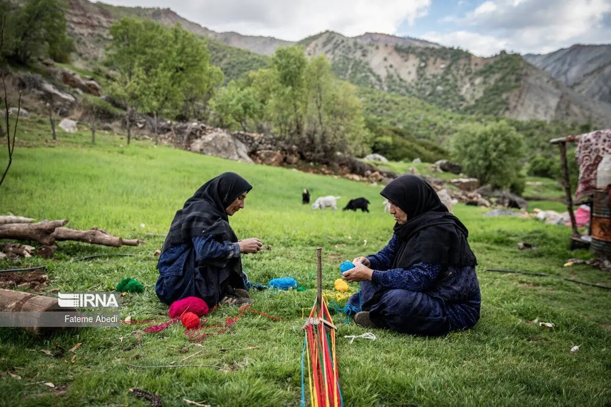 (تصاویر) شیردنگ بافی