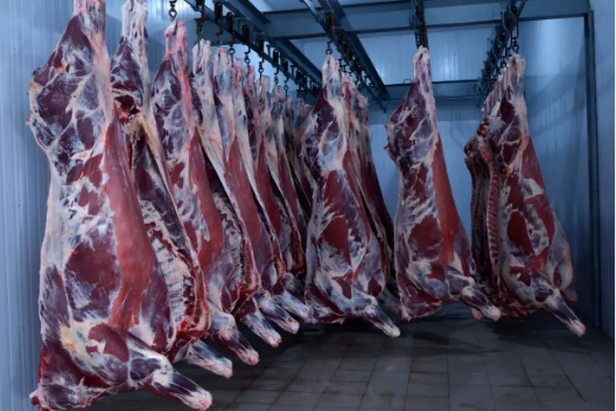 قیمت جدید دام زنده؛ منتظر این تغییر در بازار گوشت باشید