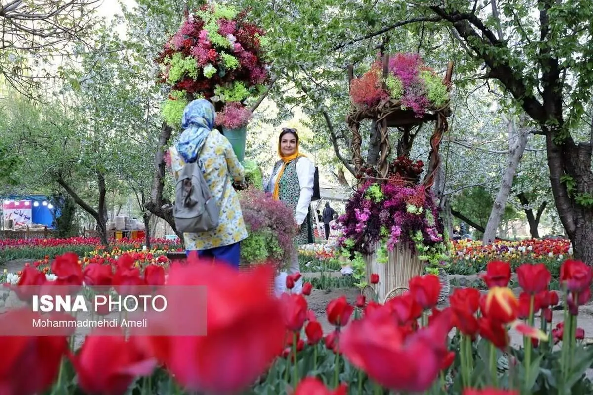(تصاویر) جشنواره گل‌های لاله آسارا