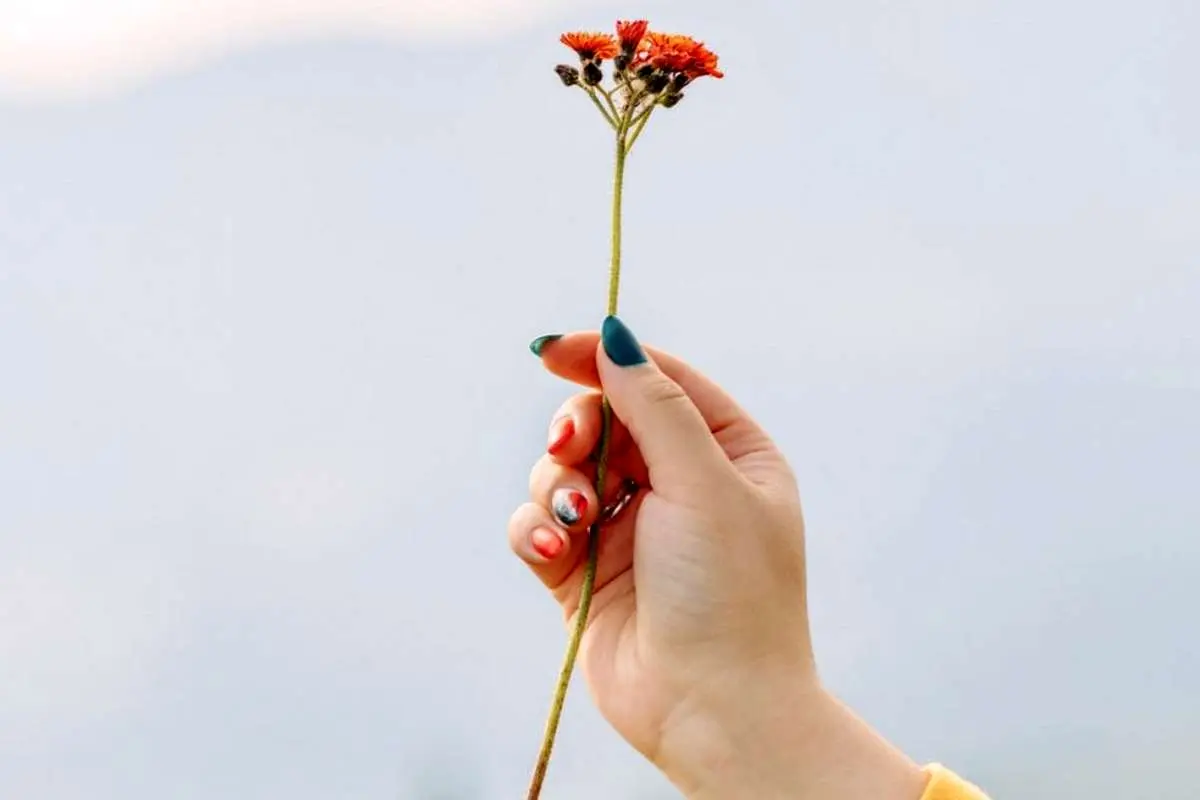 پیام تبریک روز معلم کوتاه و صمیمانه ۱۴۰۳