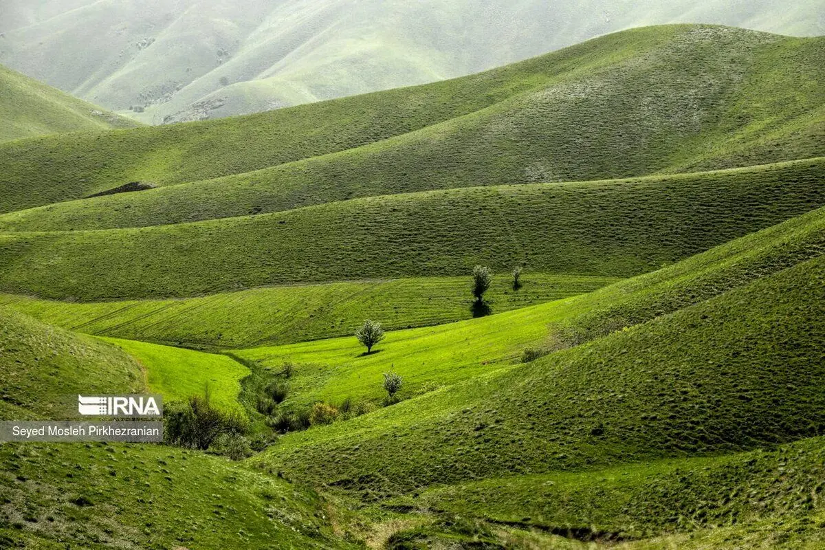 (تصاویر) طبیعت بهاری کردستان