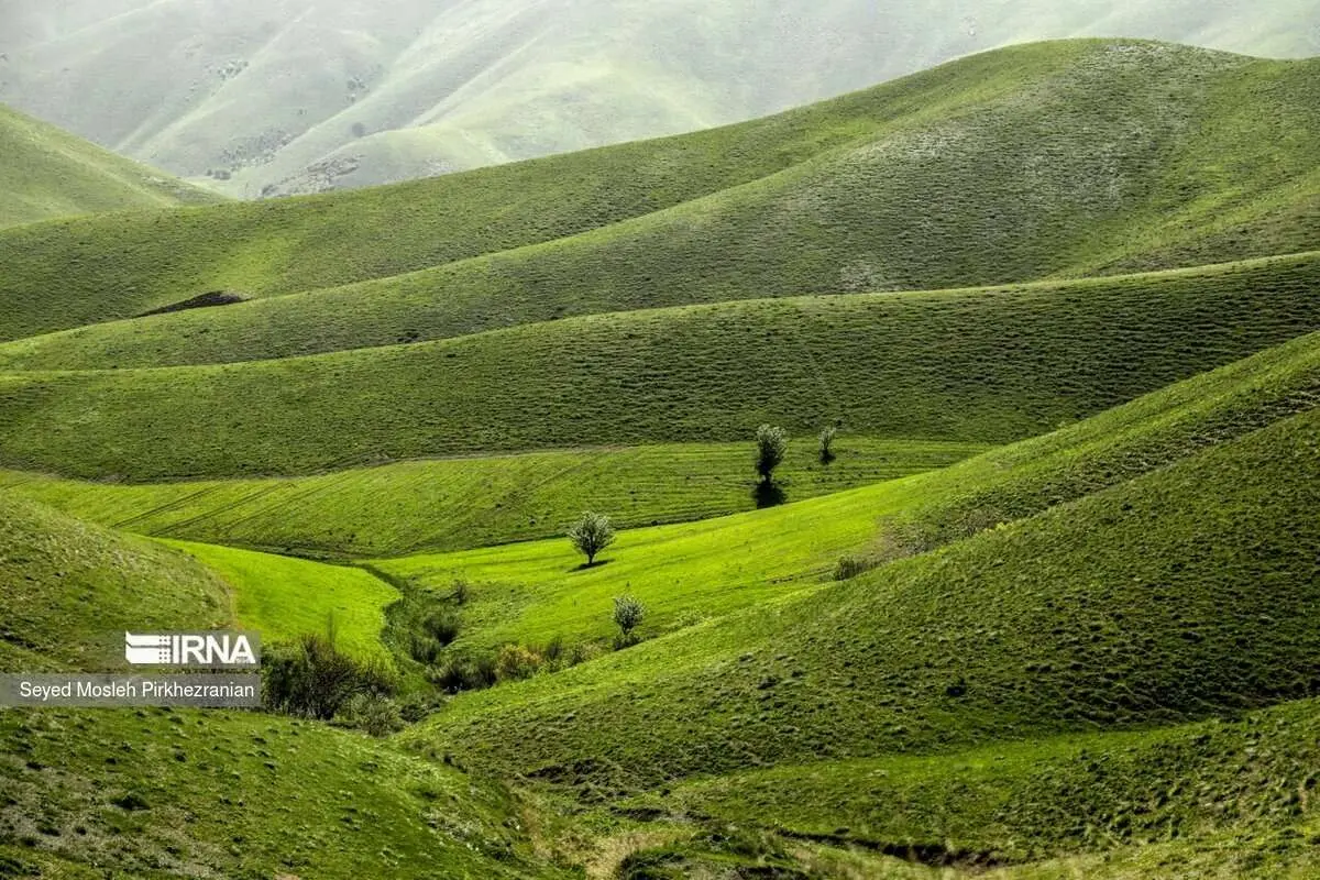 (تصاویر) طبیعت بهاری کردستان