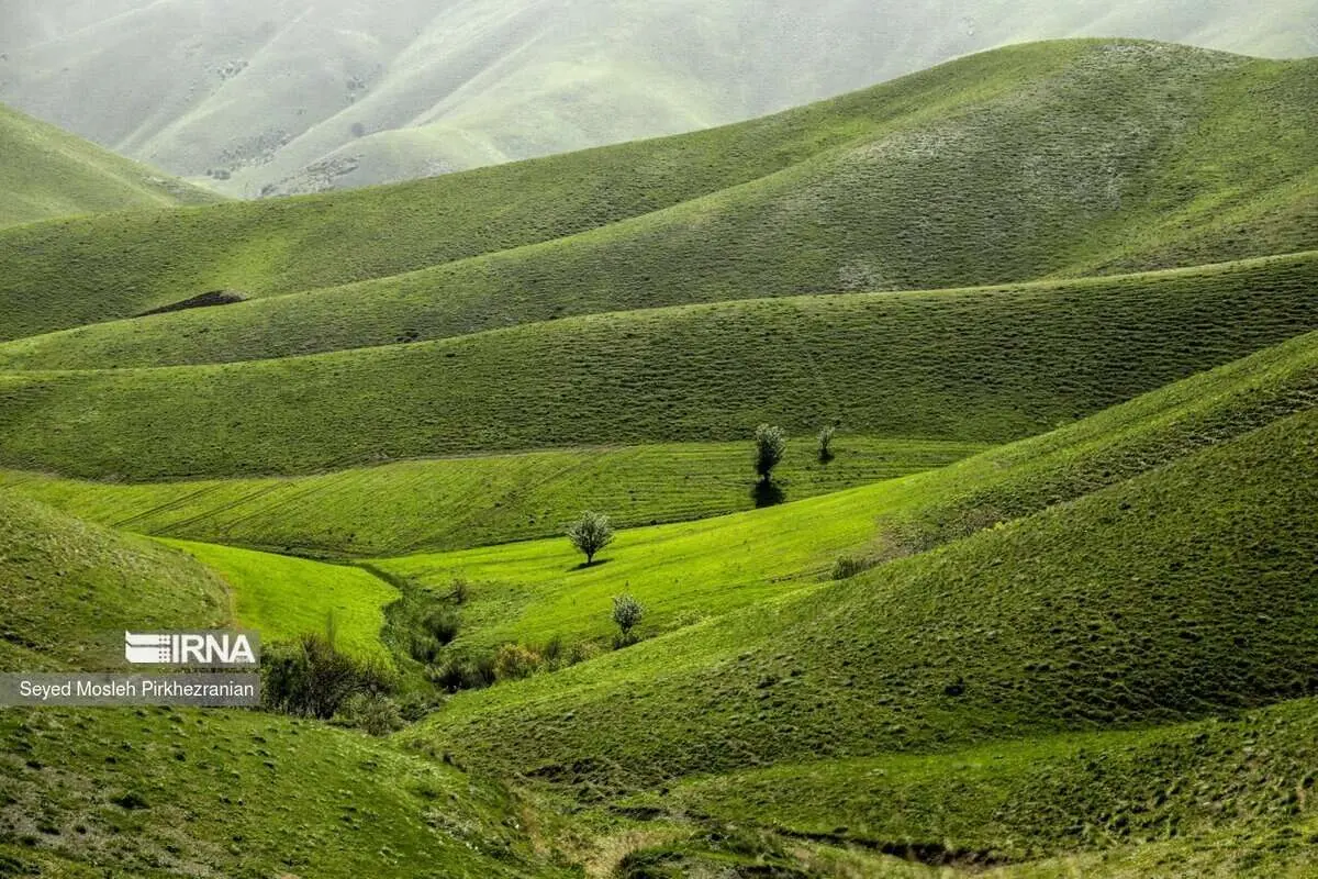 (تصاویر) طبیعت بهاری کردستان