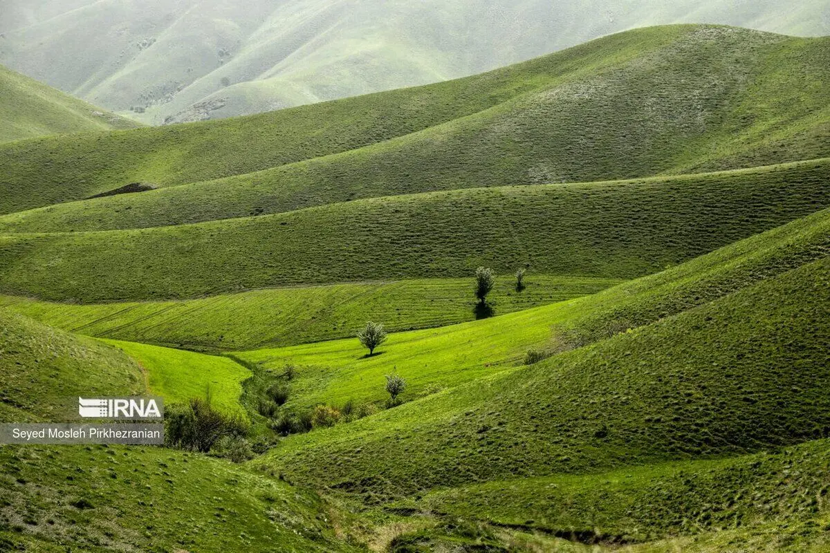 (تصاویر) طبیعت بهاری کردستان