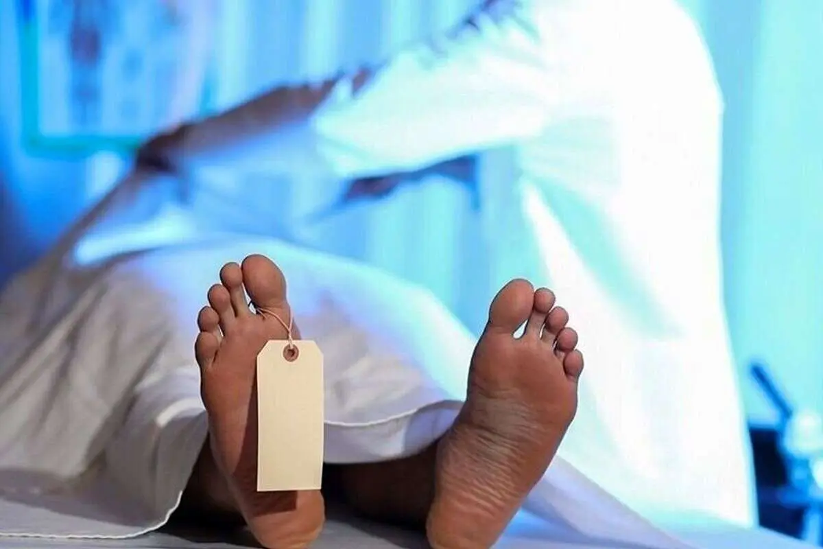 جزییات قتل بازپرس سابق در آمل؛ ۵ نفر دستگیر شدند