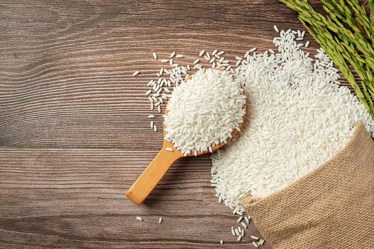 بلاتکلیفی فعالان بازار برنج