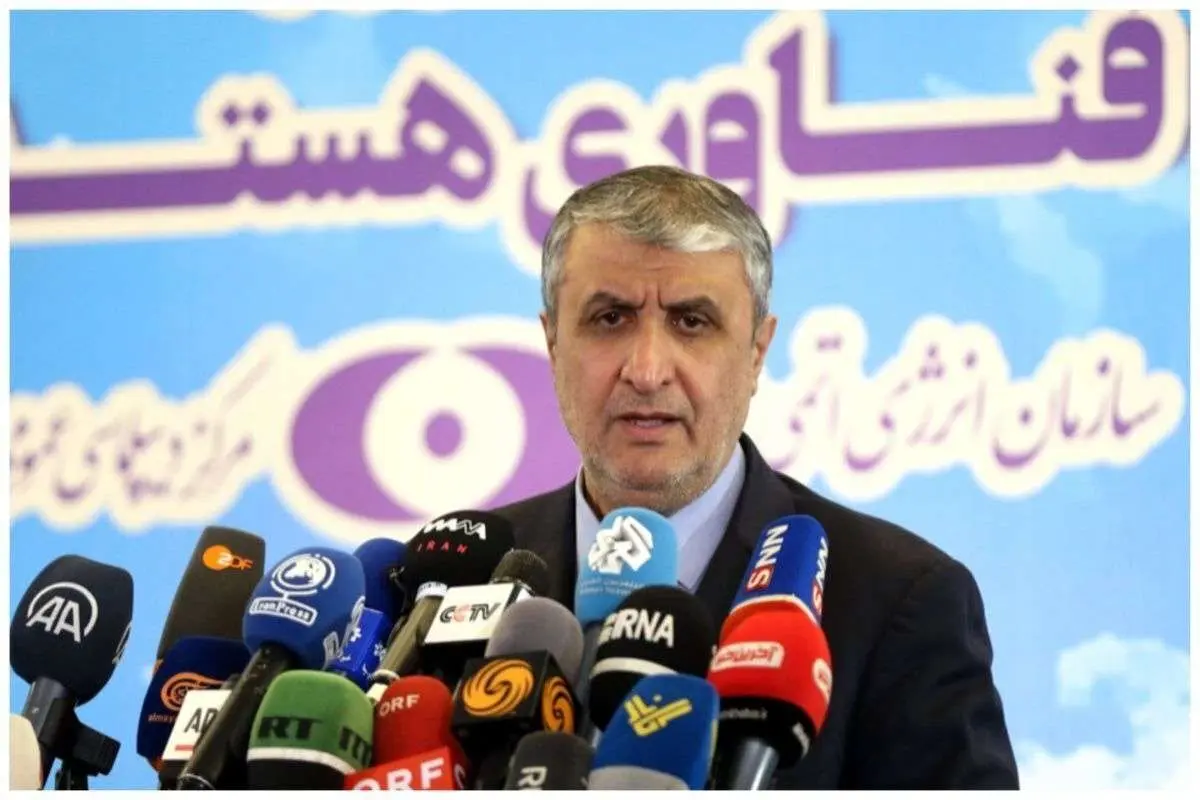 رییس سازمان انرژی اتمی: آژانس بدون فشارهای سیاسی نقش خود را ایفا کند