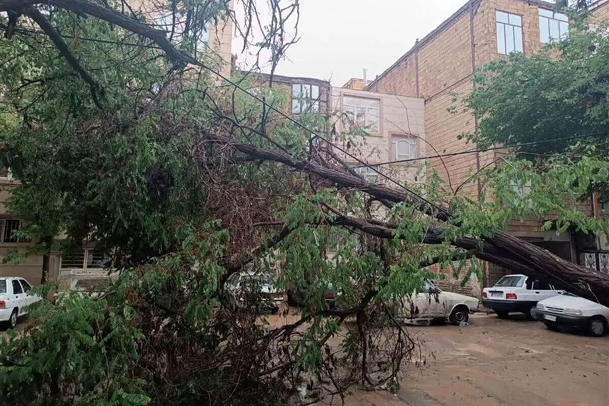 بارش امروز مشهد در ۲۰سال اخیر بی سابقه بوده