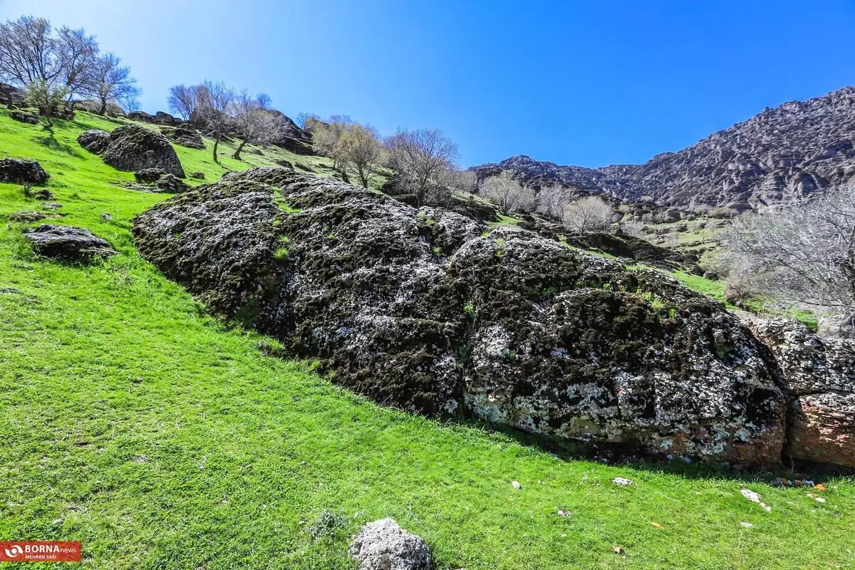 (تصاویر) مخمل کوه لرستان، نگین سبز در طبیعت بکر