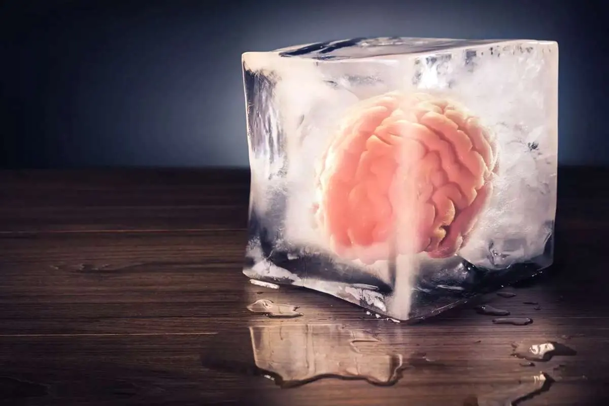 محققان چینی مغز منجمدشده انسان را دوباره زنده کردند