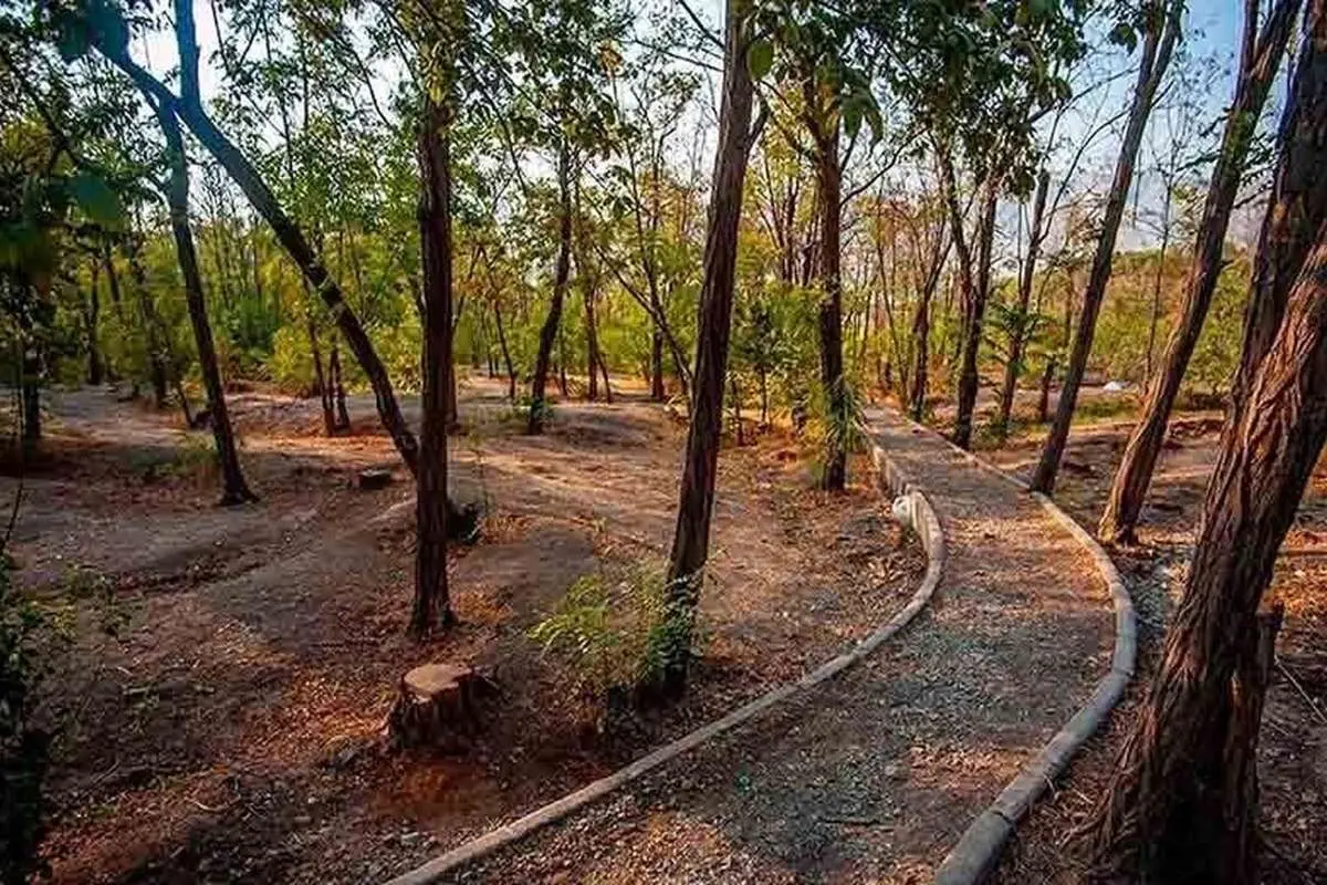 ماجرای شکار سنجاب در بوستان چیتگر