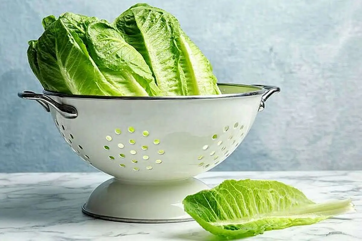 خواص شگفت‌انگیز کاهو که نمی‌دانستید