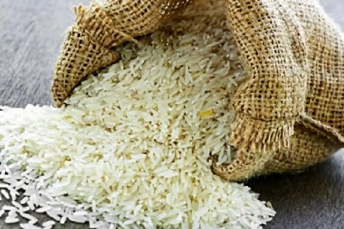 ۱۲۰ هزار تن برنج خارجی وارد شده است
