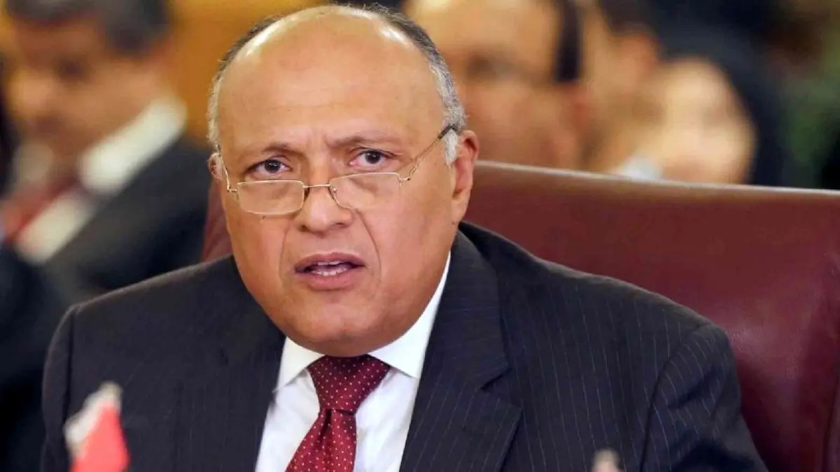 وزیر خارجه مصر برای اولین بار عازم تهران شد
