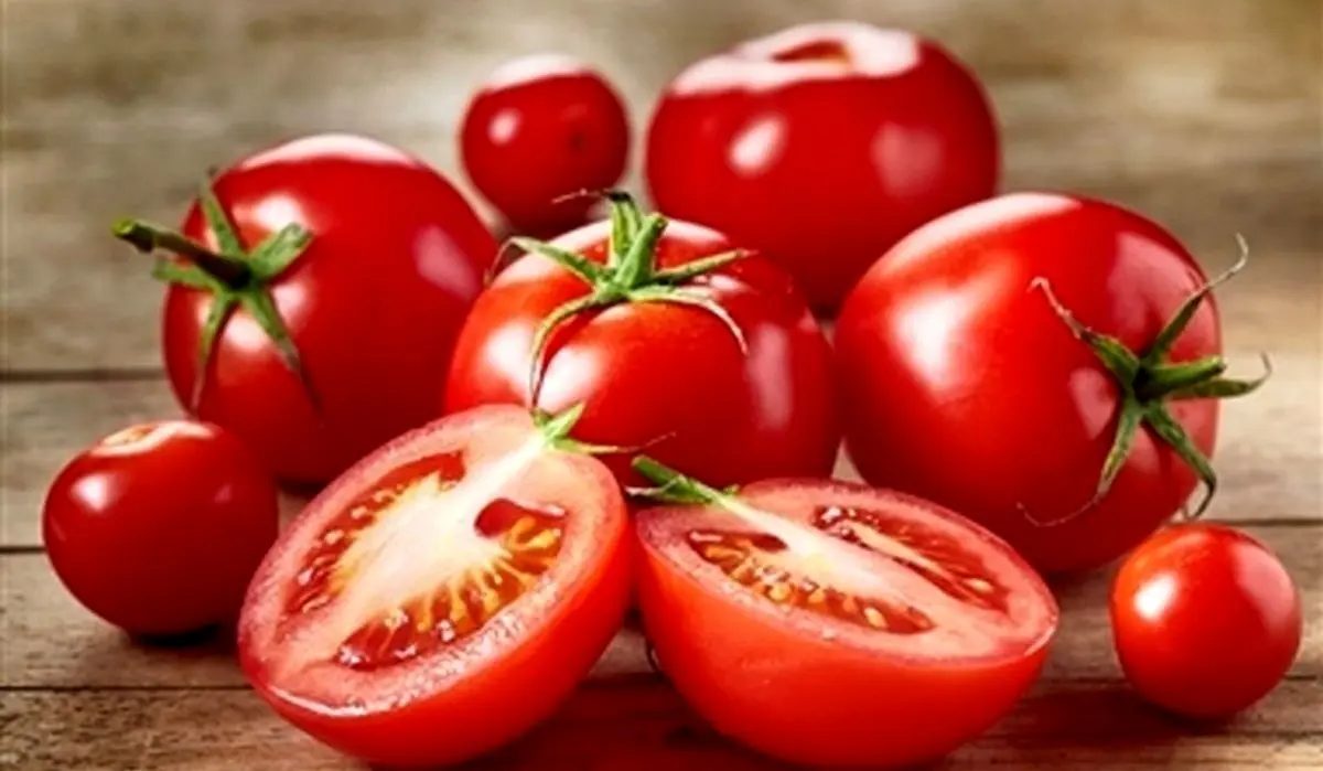 جدیدترین قیمت گوجه فرنگی