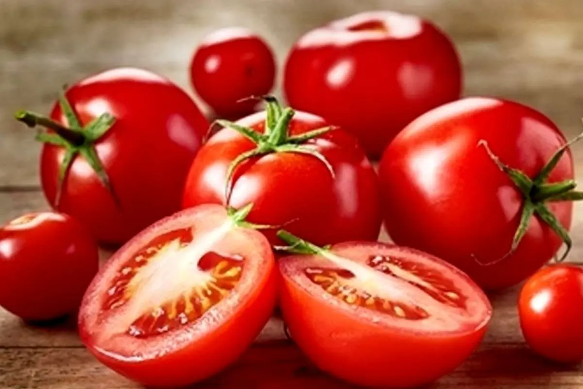 جدیدترین قیمت گوجه فرنگی