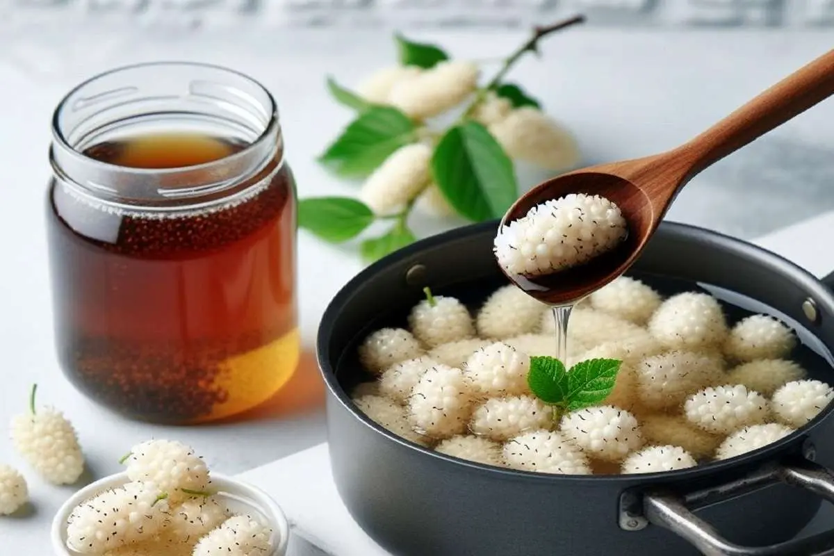 خواص شیره توت ـ طب سنتی درباره شیره توت چه می‌گوید؟