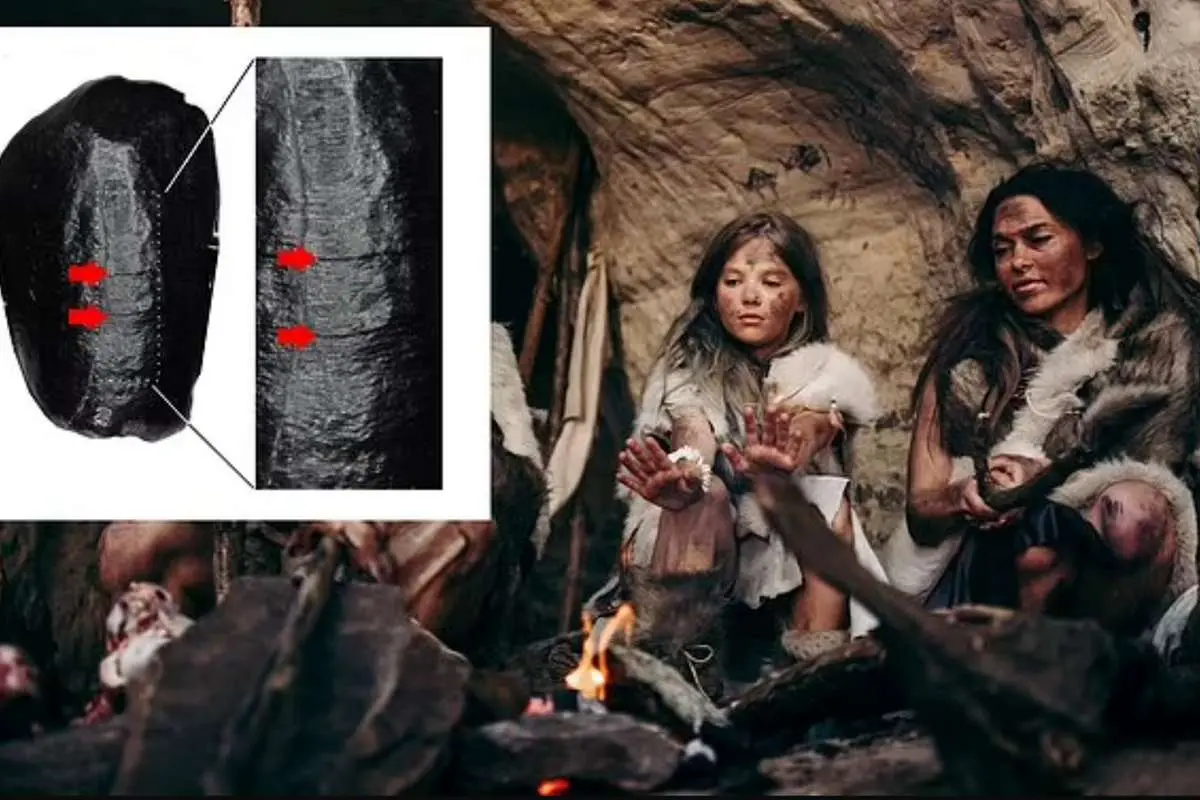 چرا نسل انسان‌ کنونی به حیات خود ادامه داد، اما نئاندرتال‌ها نه؟