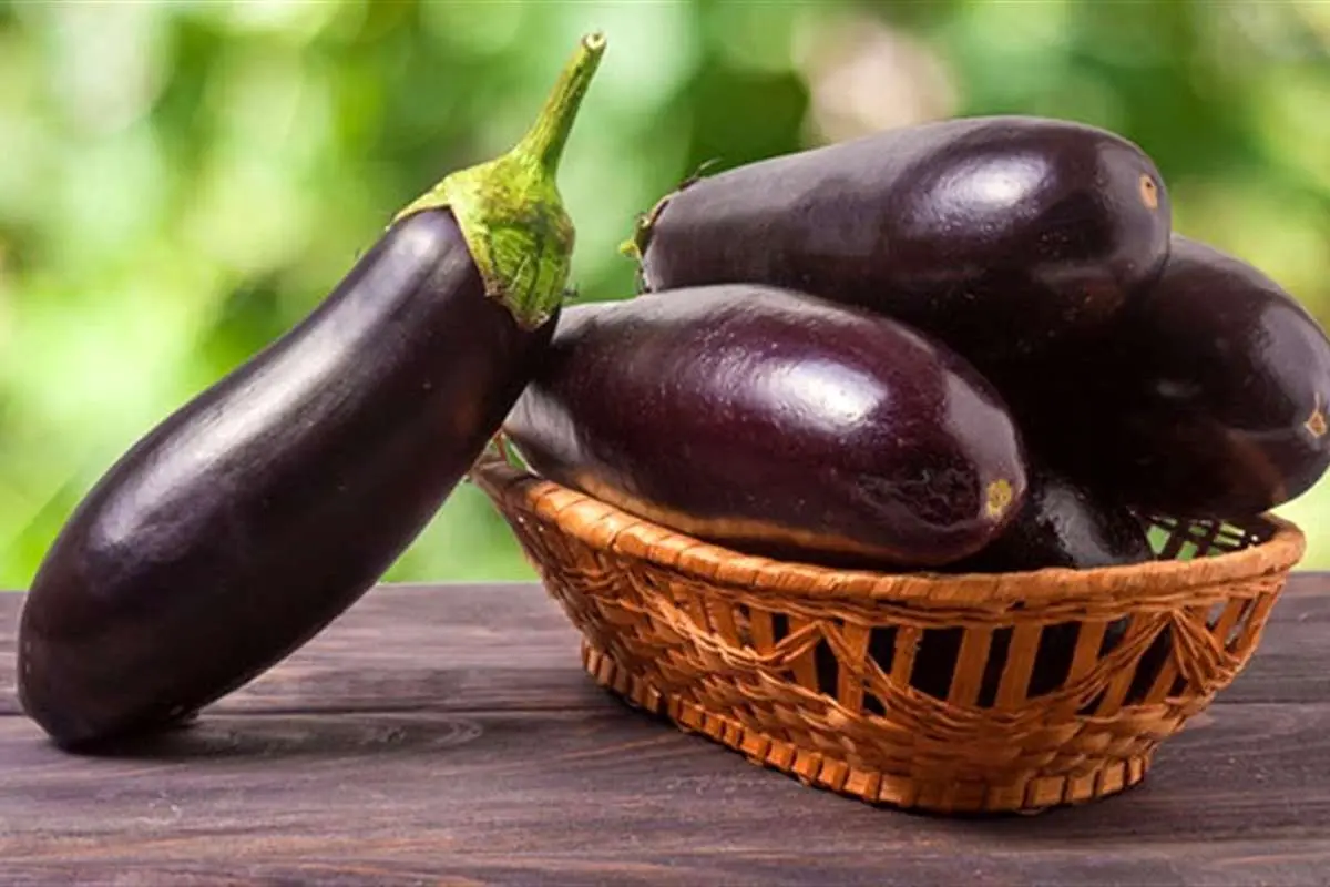 عوارض خوردن بیش از حد بادمجان