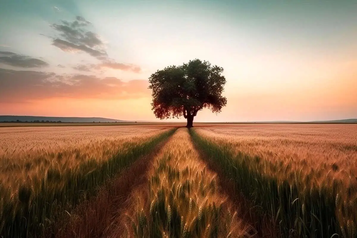 تفال به حافظ دوشنبه ۱۴ خرداد ۱۴۰۳؛ زلفت هزار دل به یکی تار مو ببست....