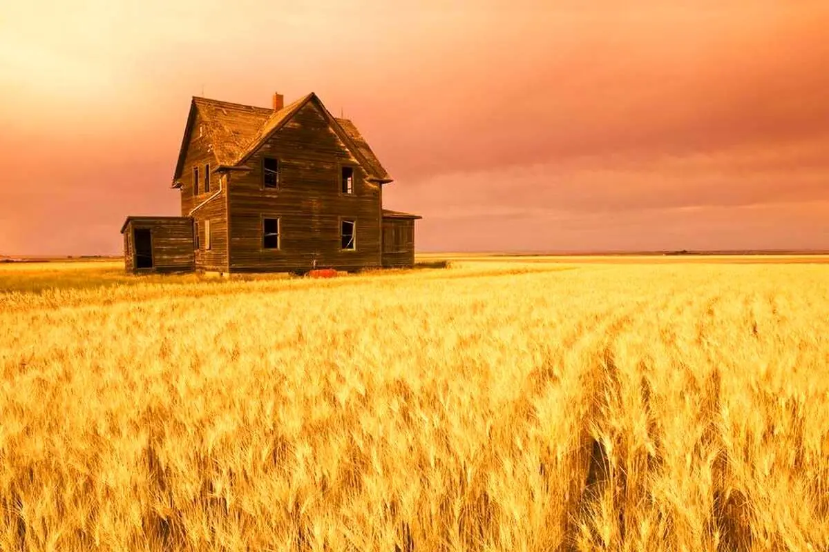 تفال به حافظ سه شنبه ۱۵ خرداد ۱۴۰۳؛ ساقی ار باده از این دست به جام اندازد...