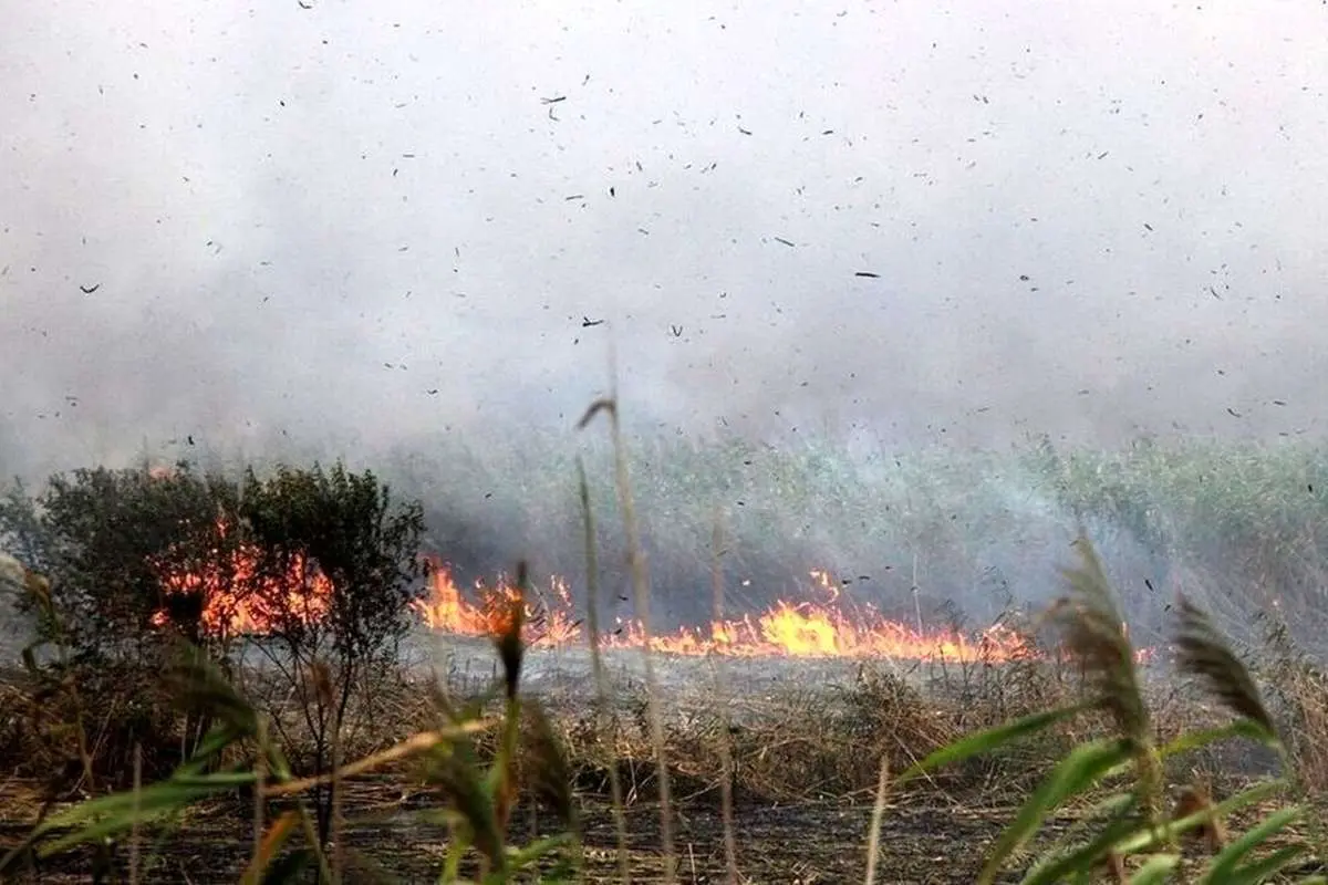 ۳ هکتار از تالاب انزلی در آتش سوخت