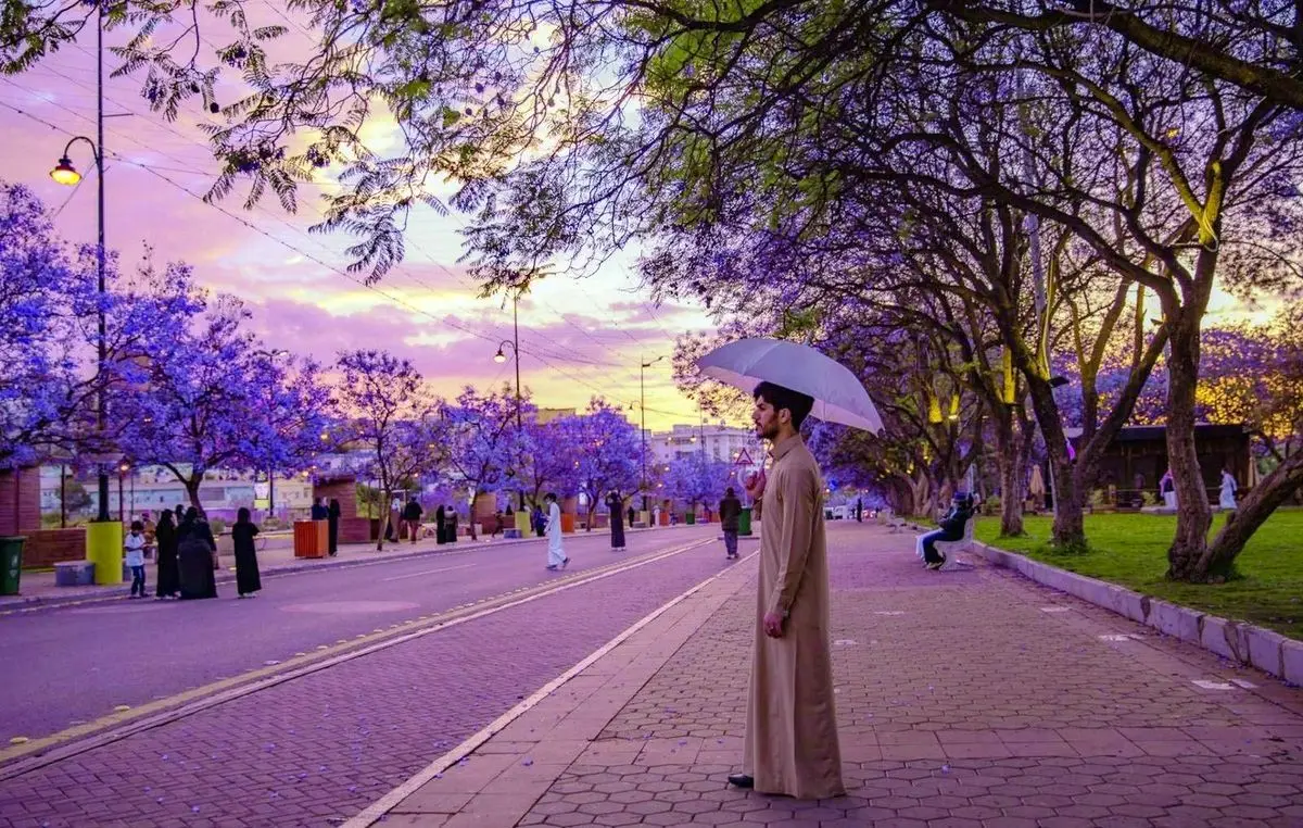 (ویدئو) طبیعت بنفش و هوای بارانی شهر أبها عربستان