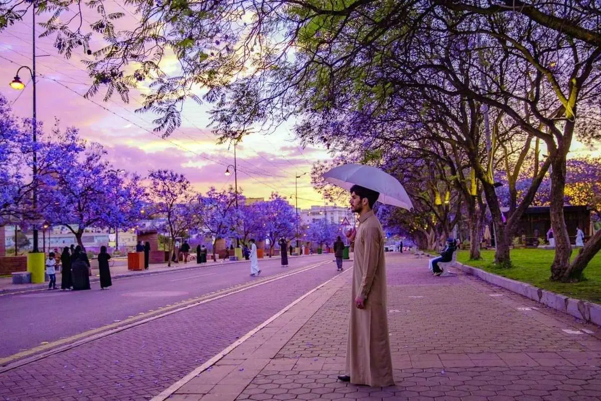 (ویدئو) طبیعت بنفش و هوای بارانی شهر أبها عربستان