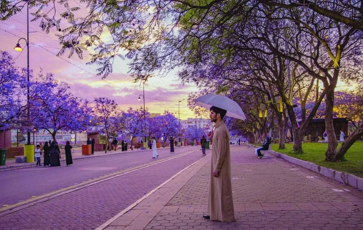 (ویدئو) طبیعت بنفش و هوای بارانی شهر أبها عربستان
