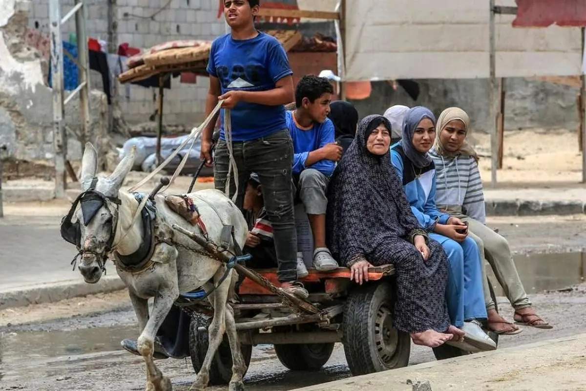 (تصاویر) اهالی غزه به استفاده از گاری و الاغ روی آوردند