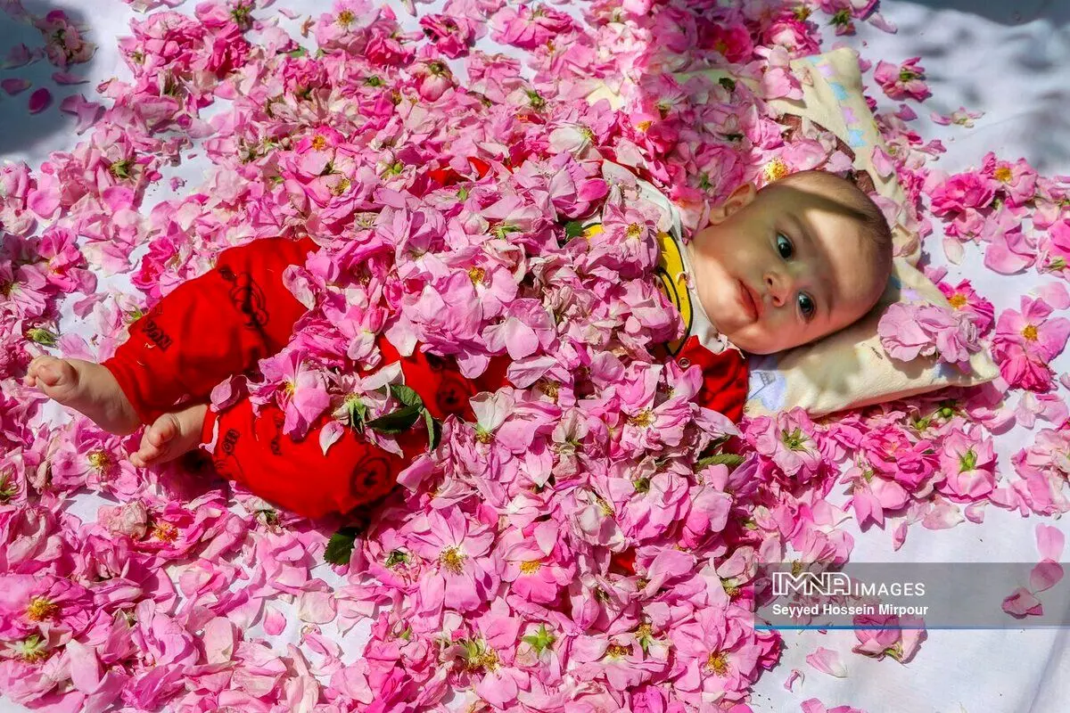 (تصاویر) آیین سنتی گل‌غلتان در فرخد خراسان