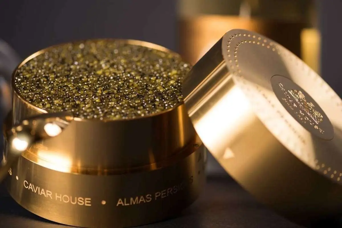 (ویدئو) تصاویری از گران‌ترین خاویار دنیا!