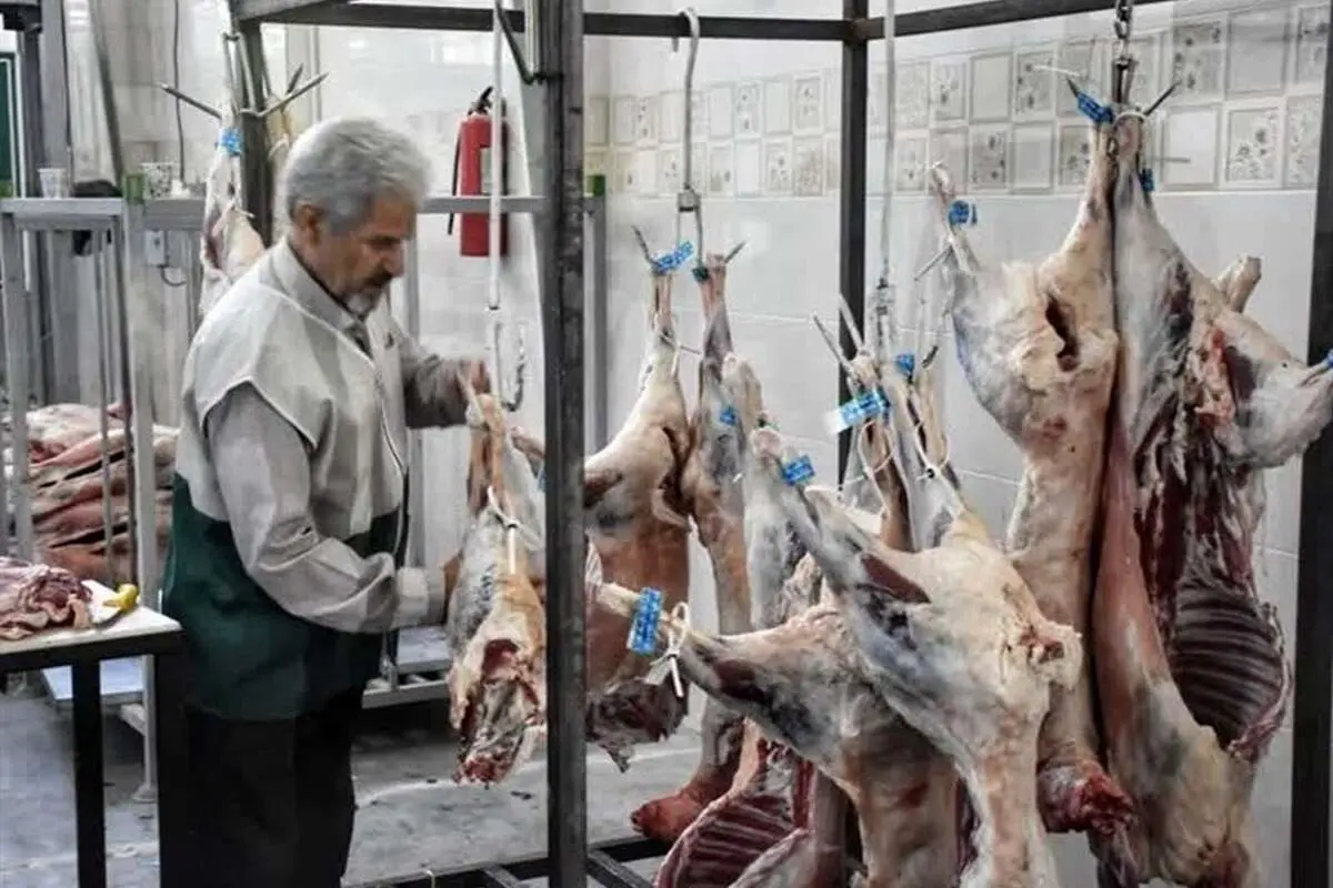 گوسفند قربانی در تهران، کیلویی ۳۳۰ هزار تومان
