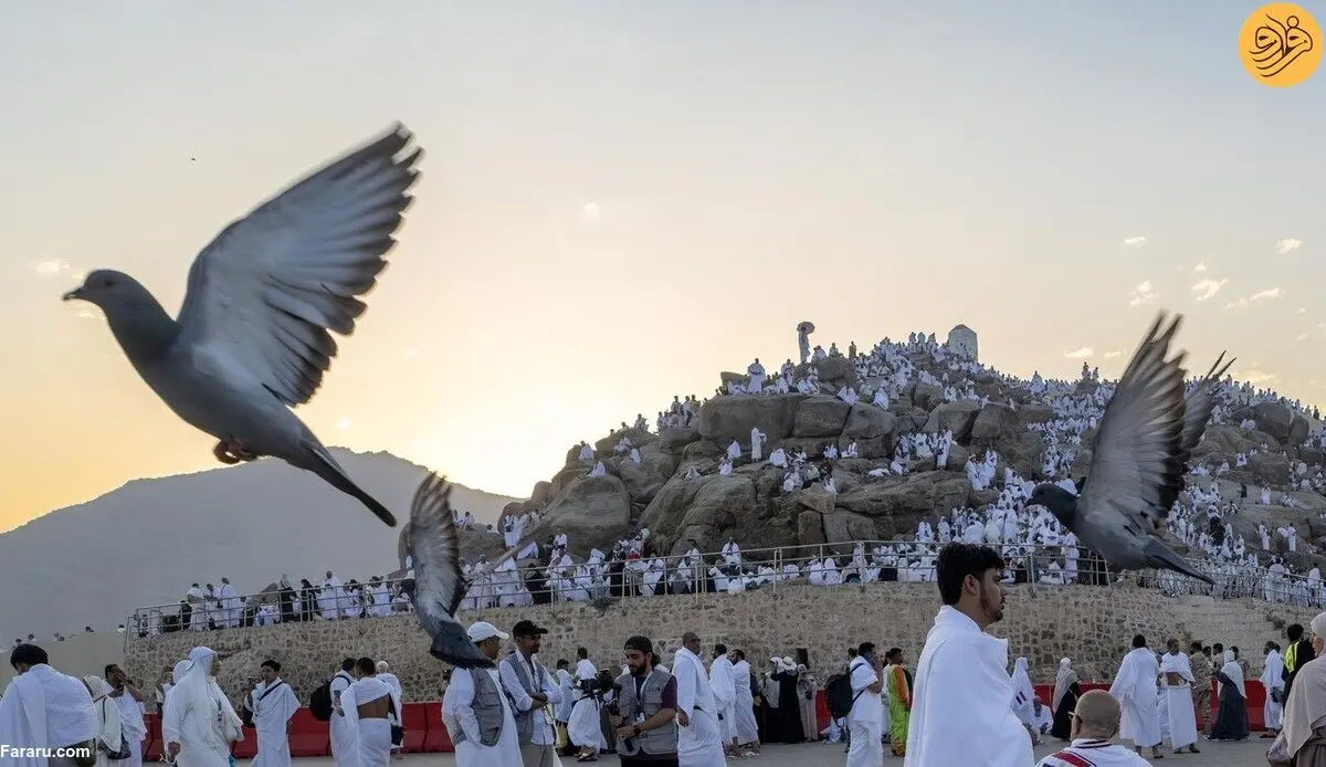 (تصاویر) حضور حجاج در عرفات