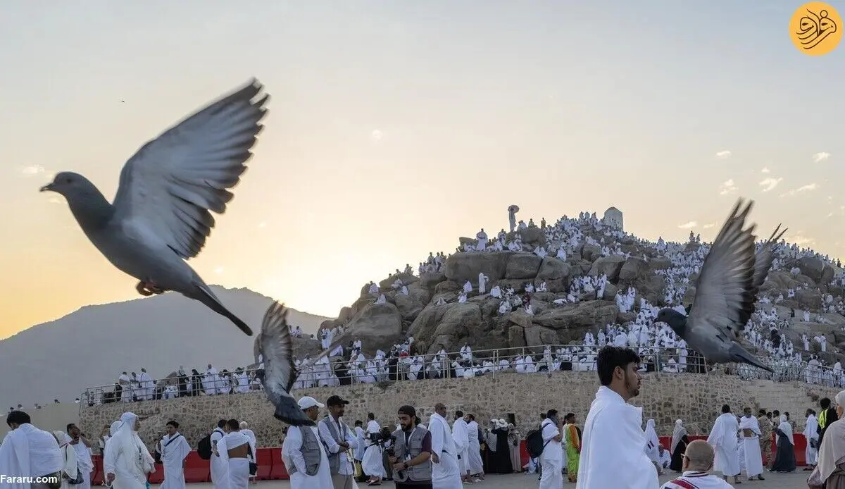 (تصاویر) حضور حجاج در عرفات