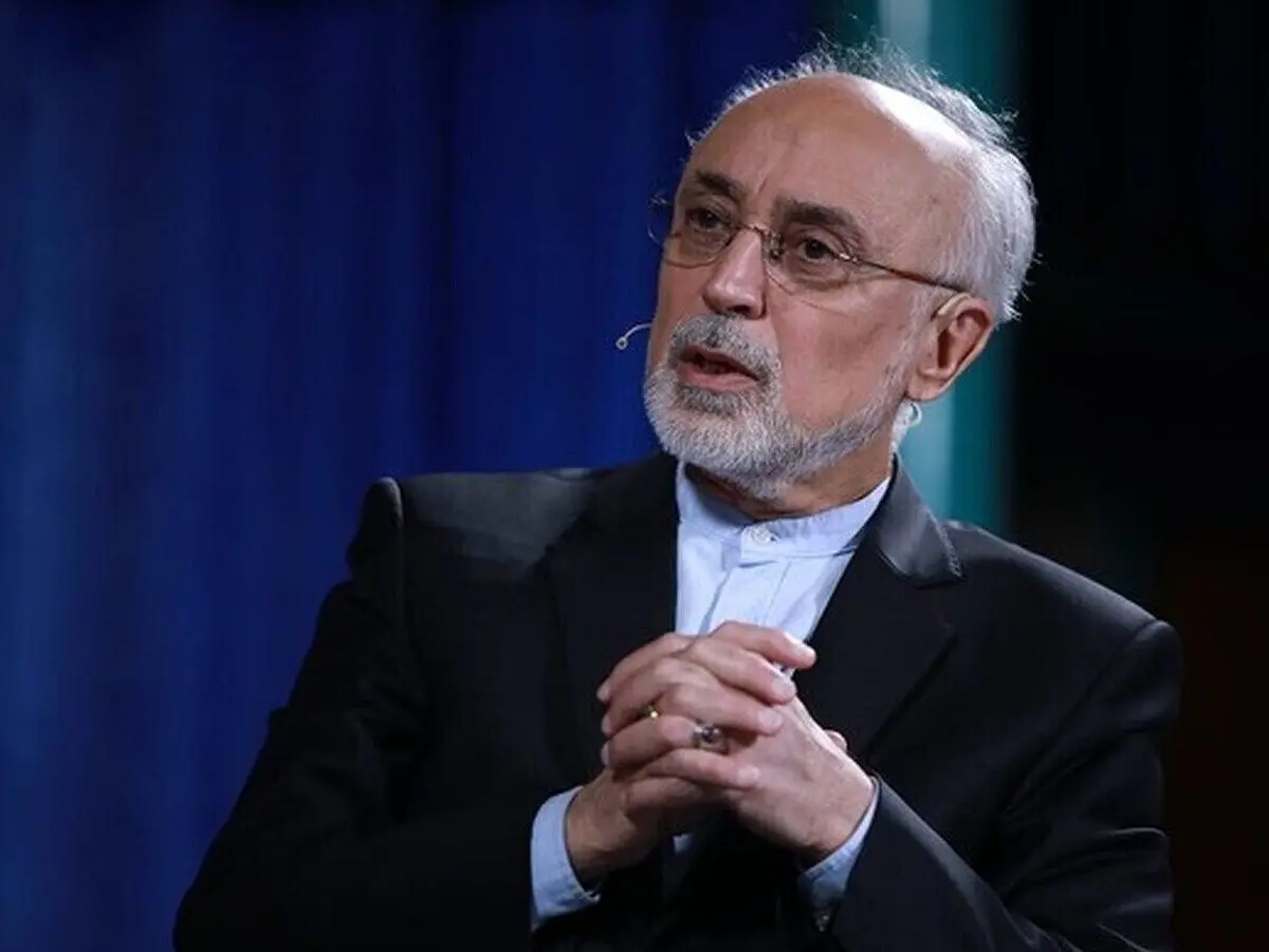 علی‌اکبر صالحی در پاسخ به سعید جلیلی: مگر شما خودتان را در محضر خدا نمی‌بینید؟