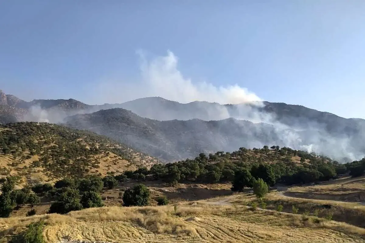 (ویدئو) مهار آتش‌سوزی در بخشی از جنگل‌های پلدختر